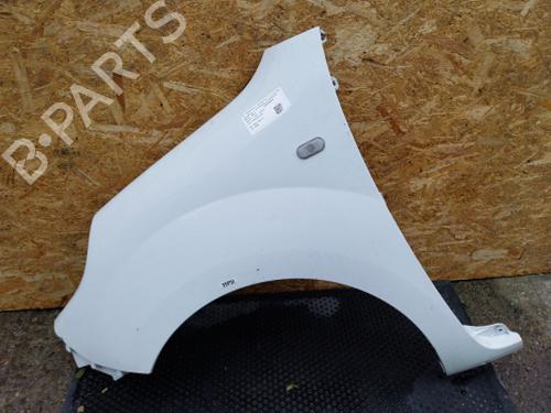 left-front-fenders-renault-kangoo-express-fw01_-2008-38810602 main image