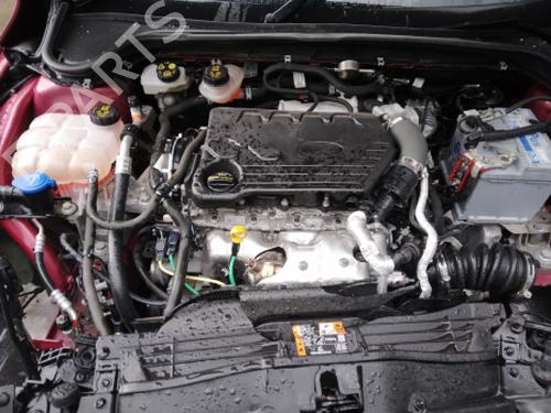 - Image 19