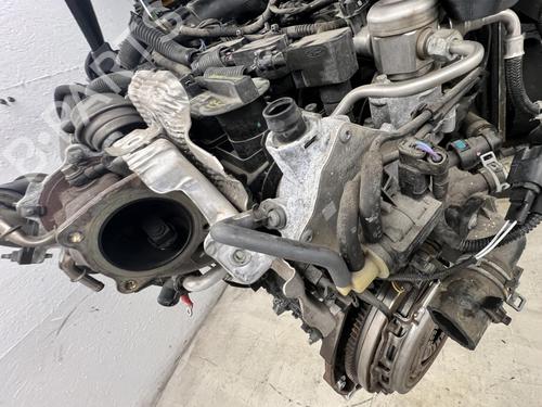Engine FORD FIESTA VI (CB1, CCN) 1.0 Sport | BP39675502M1 - Image 6
