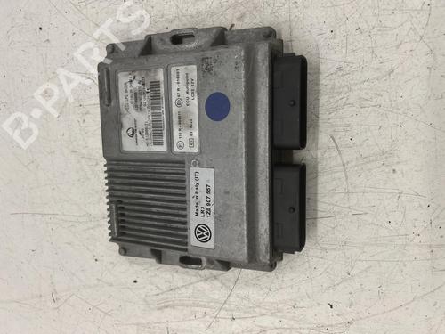 Used Engine control unit (ECU) Engine control unit (ECU) SKODA OCTAVIA II Combi (1Z5) 1.6 LPG (102 hp) 39911911 39911911