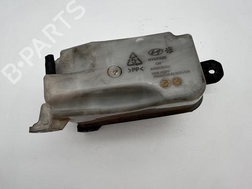 expansion-tank-hyundai-santa-fe-ii-cm-2005-2006-2007-2008-2009-2010-2011-2012-2013-2014-2015-39672801 main image