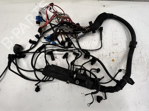 Wiring harness BMW X5 (E53) 3.0 d | BP39671185E16 - Image 6