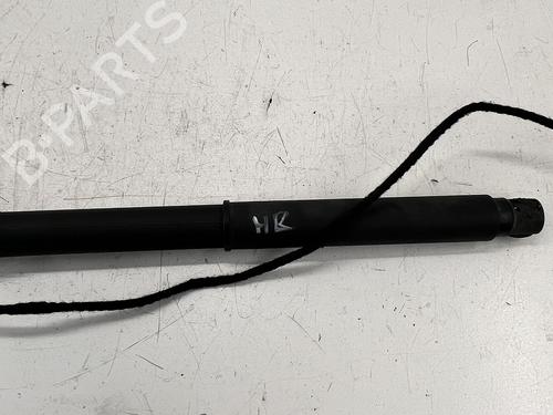 Used Tailgate Tailgate BMW X5 (E70) 3.0 sd (286 hp) 39682257 39682257