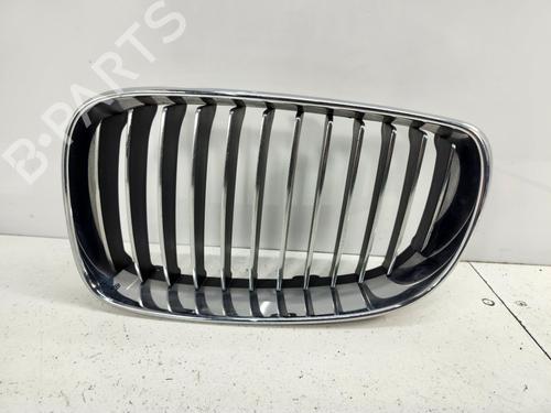 Used Grille Grille BMW 1 Coupe (E82) 120 d (177 hp) 40356724 40356724