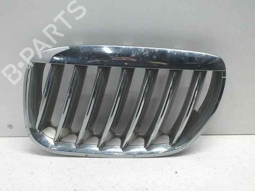 grille-bmw-x5-e53-2000-2001-2002-2003-2004-2005-2006-40351052 main image