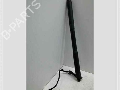 tailgate-lift-support-bmw-3-touring-f31-2012-2013-2014-2015-2016-2017-2018-2019-40350684 main image
