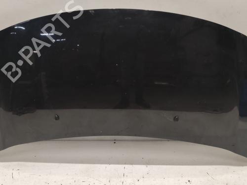 hood-citroen-ds3-sa_-2009-2010-2011-2012-2013-2014-2015-2016-40355151 main image