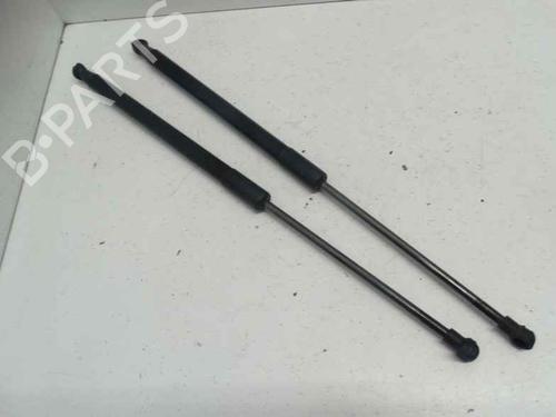 tailgate-lift-support-bmw-1-f21-2011-2012-2013-2014-2015-2016-2017-2018-2019-40355627 main image