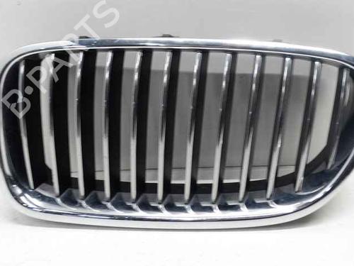 grille-bmw-5-f10-2009-2010-2011-2012-2013-2014-2015-2016-40352844 main image