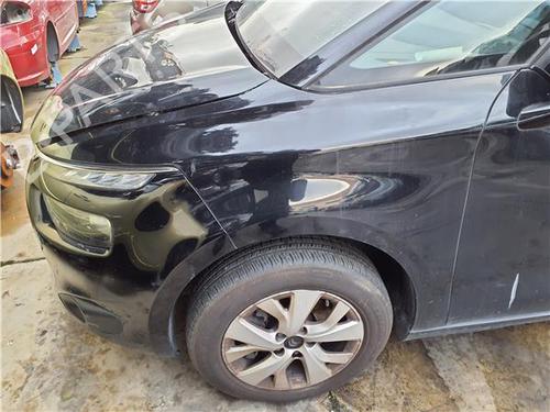 left-front-fenders-citroen-c4-picasso-ii-2013-39962096 main image
