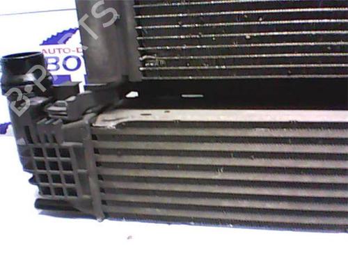 Water radiator DACIA DUSTER (HS_) 1.5 dCi (HSMC) | BP38348824M31 - Image 4