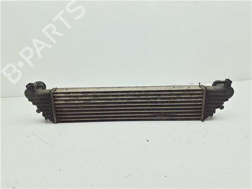 Intercooler FIAT 500L (351_, 352_) 1.6 D Multijet (199LYD1B) | BP38391671M30 - Image 4