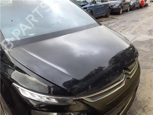 hood-citroen-c4-picasso-ii-2013-39962098 main image