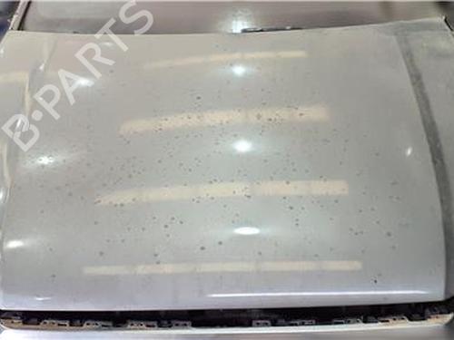hood-audi-q7-4mb-4mg-4mq-2015-38393399 main image