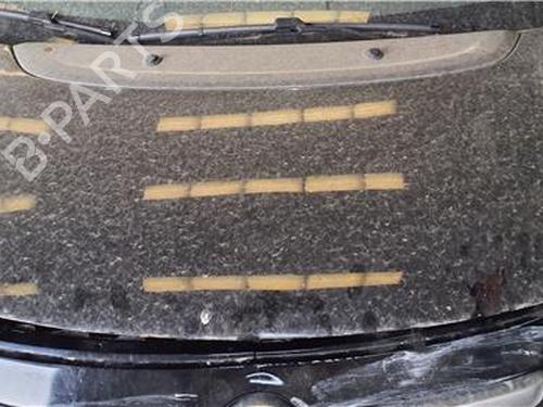 hood-fiat-500l-351_-352_-2012-38391524 main image
