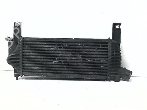 Intercooler NISSAN PATHFINDER III (R51) 2.5 dCi | BP38373930M30 - Image 2