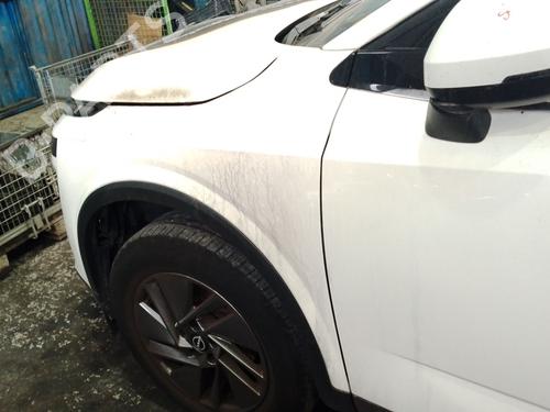 left-front-fenders-nissan-qashqai-iii-j12-2021-39721980 main image