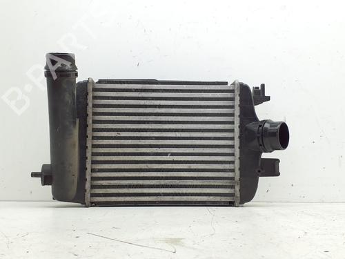 Intercooler Intercooler RENAULT CLIO V (B7_) 1.3 TCe 130 (B7MF) (131 hp) 39721925 39721925