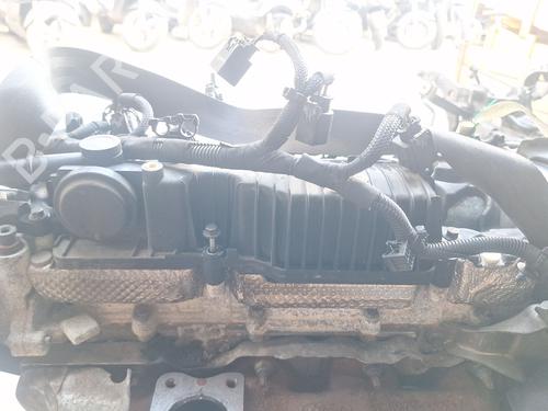 Cylinder head FORD KUGA III (DFK) 2.0 EcoBlue mHEV | BP39167035M5 - Image 5