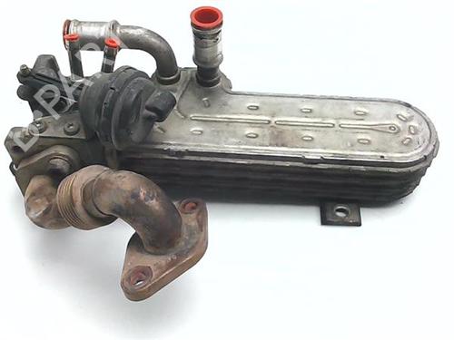Egr Egr 38383324 38383324