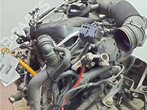 Engine SEAT LEON (1P1) 1.9 TDI | BP38388248M1 - Image 7