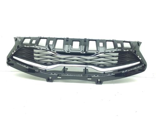 Used Grille Grille 38402076 38402076