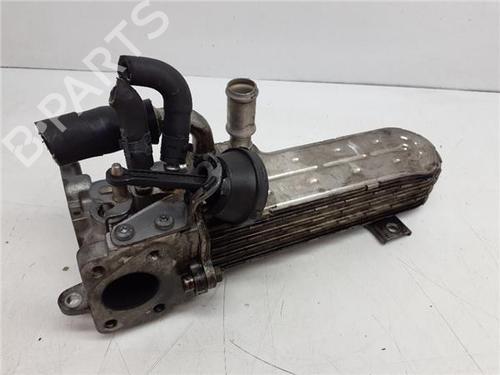 Egr Egr 38371840 38371840