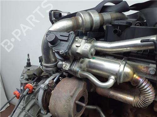 Engine RENAULT MEGANE II Saloon (LM0/1_) 1.5 dCi (LM1E) | BP38392489M1 - Image 7