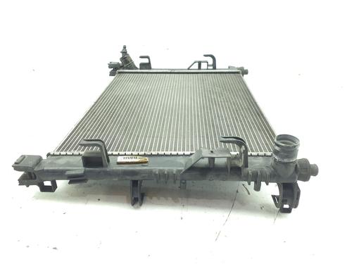 Water radiator DACIA SANDERO II TCe 90 LPG (B8M1) | BP38402596M31 - Image 4