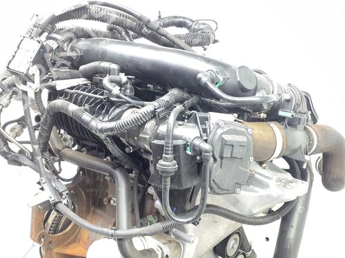 Engine FORD FOCUS IV (HN) 1.0 EcoBoost | BP38593928M1 - Image 13
