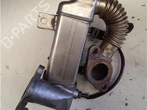 Egr RENAULT MEGANE CC (EZ0/1_) 1.6 dCi (EZ00) | BP38372691M69 - Image 3
