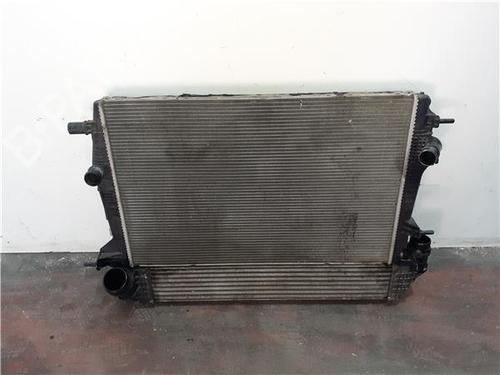 Used Intercooler Intercooler RENAULT SCÉNIC III (JZ0/1_) 1.6 16V Bifuel (110 hp) 38356967 38356967