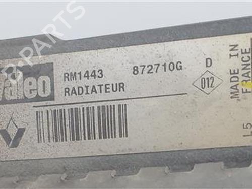 Water radiator NISSAN INTERSTAR Van (X70) | BP38332827M31 - Image 3