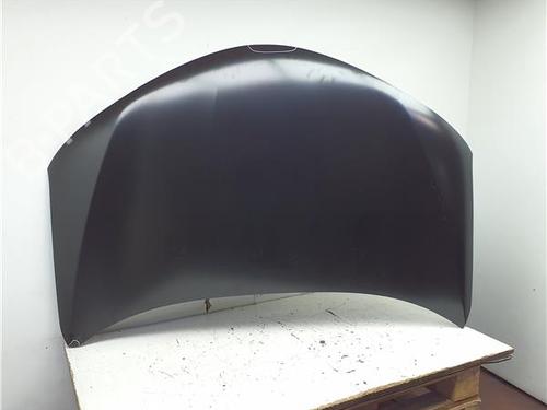 Used Hood Hood TOYOTA RAV 4 IV (_A4_) 2.0 D (ALA40_, ALA40R) (124 hp) 40508209 40508209