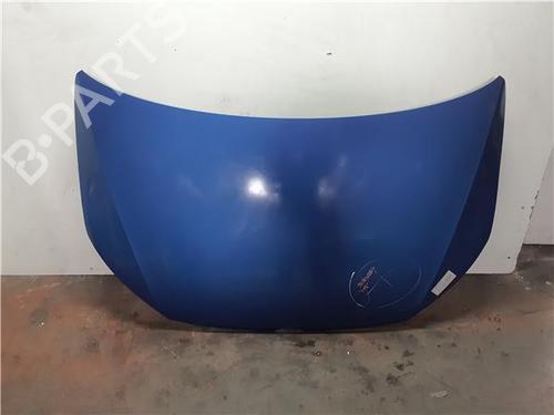 Used Hood Hood VW CADDY III MPV (2KB, 2KJ, 2CB, 2CJ) 1.6 TDI (102 hp) 40505767 40505767