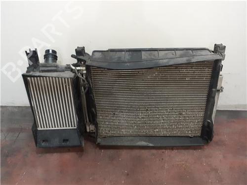 radiator-fan-dacia-lodgy-js_-2012-38358188 main image