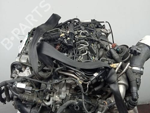 Engine AUDI A5 (F53, F5P) 2.0 TDI | BP38392410M1 - Image 4