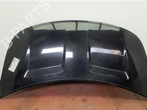hood-smart-forfour-454-2004-2005-2006-38369948 main image