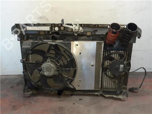 Intercooler CITROËN DS3 Convertible 1.6 THP 155 | BP38362075M30 - Image 2