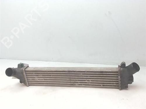 Intercooler RENAULT KANGOO (KC0/1_) 1.5 dCi | BP38368335M30 - Image 2