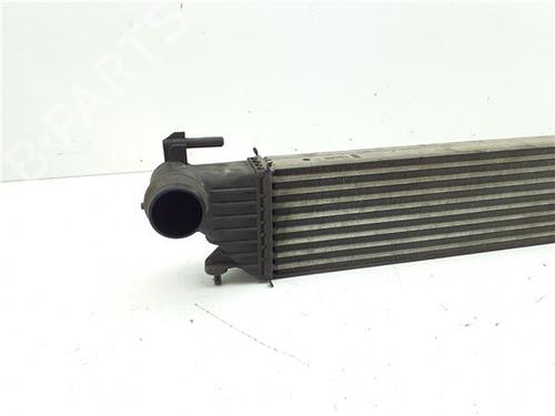 Intercooler FIAT 500L (351_, 352_) 1.6 D Multijet (199LYD1B) | BP38391671M30 - Image 5