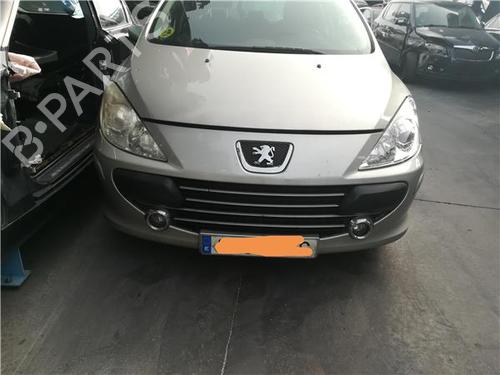 hood-peugeot-307-break-3e-2002-2003-2004-2005-2006-2007-2008-2009-38355217 main image