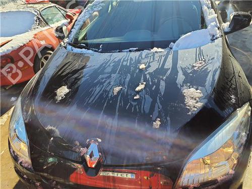 hood-renault-megane-iv-grandtour-k9amn_-2016-38396379 main image