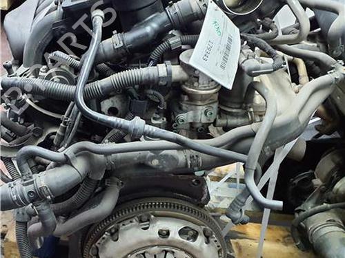 Engine AUDI A3 (8P1) 1.6 | BP38361502M1 - Image 4