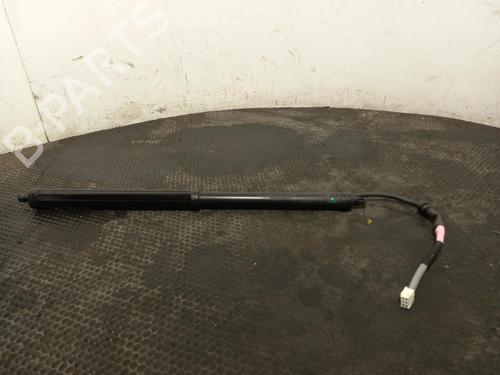 Used Tailgate lift support Tailgate lift support LEXUS UX (_AA1_, _AH1_, _MA1_) 250h (MZAH10) (184 hp) 40317319 40317319