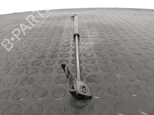 Used Hood lift support Hood lift support LEXUS RC (_C1_) 300h (AVC10_, AVC10R) (223 hp) 40346120 40346120