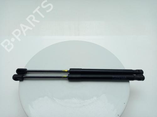 hood-lift-support-tesla-model-3-5yj3-2017-40330431 main image