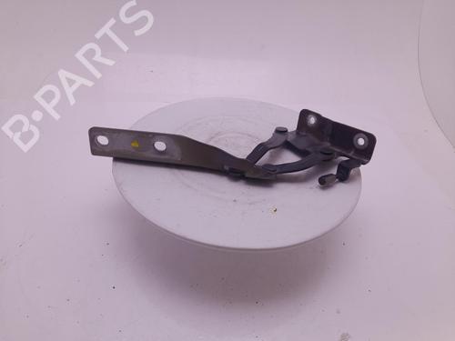 hingedoor-check-strap-mg-mg-3-2011-40315000 main image