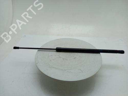 tailgate-lift-support-nissan-juke-f16_-2019-40312826 main image