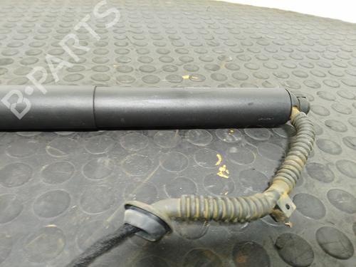 Tailgate lift support ASTON MARTIN DBX 4.0 | BP40341781C138 - Image 4
